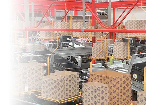 BoxSizer eCommerce Smart Packaging Automation System