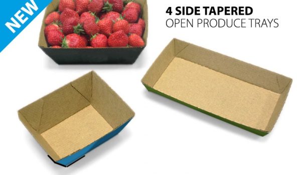 Cardboard Tapered Punnet Produce Tray Erector image